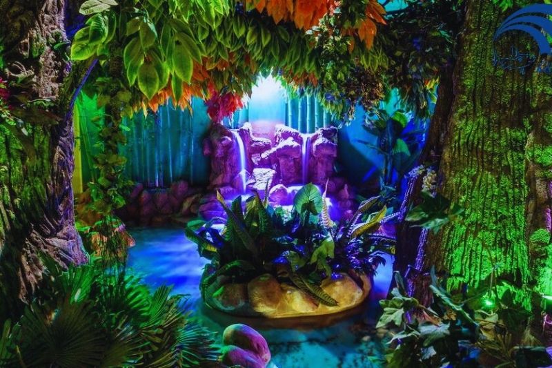 Rainforest Walk