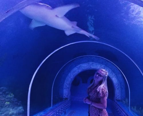 Marine Life