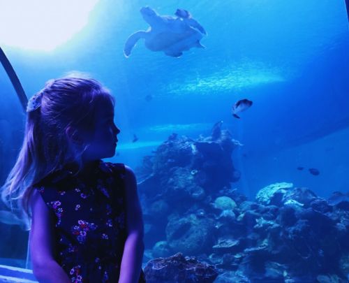 Marine Life