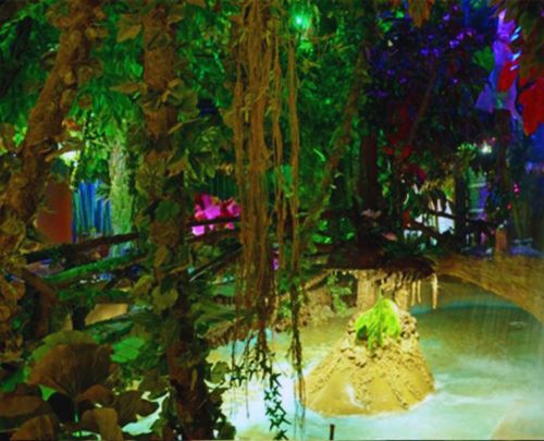 Rainforest Exhibit