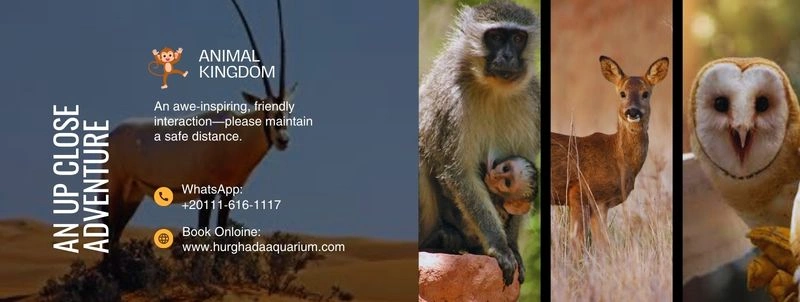 Hurghada Zoo
